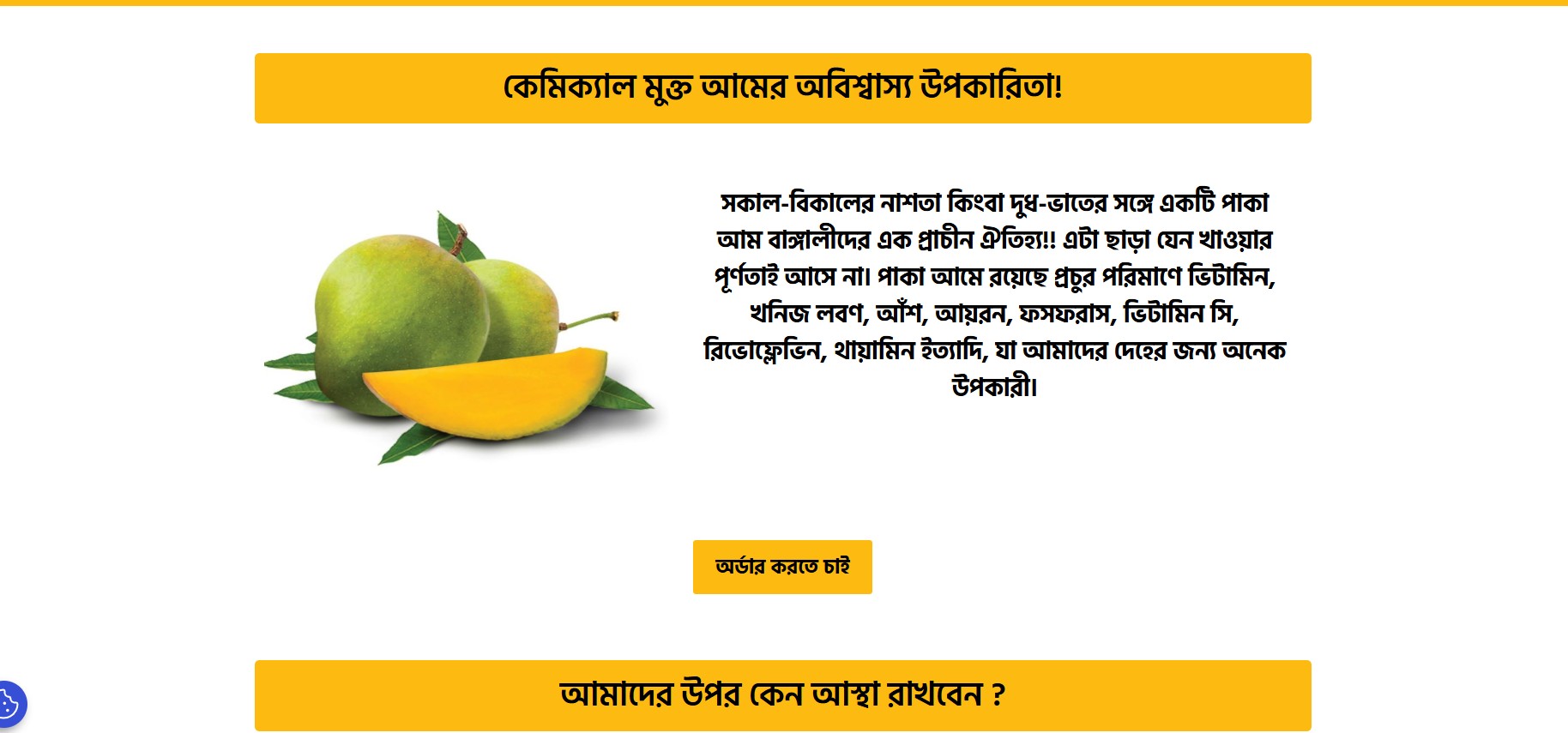 Landing Page 14 